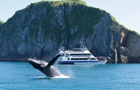 Full-Day Kenai Fjords National Park Cruise