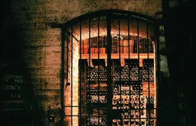 Premium Wine Tour in Viña Cousiño Macul Spanish official