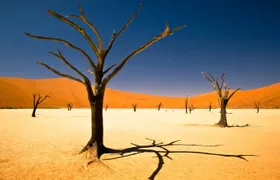 3-Day Namibia Desert Camping Tour from Windhoek