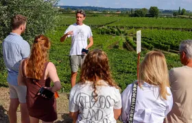Winery Tour and Tasting of Garda Wines in Lazise