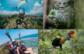Paragliding and Tangkoko Natural Tourist Park include lunch