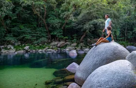Daintree Rainforest Tour