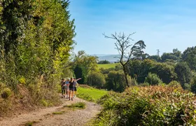 Taste of the Camino de Santiago