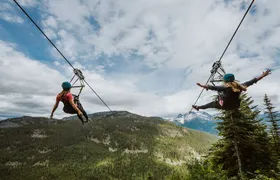 Superfly Ziplines on Cougar Mountain - includes 4 ziplines!