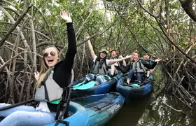 Thousand Island Mangrove Tunnel, Manatee & Dolphin Kayak Tour w/Cocoa Kayaking