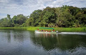 Panama Canal Wildlife Boat Safari & Panamanian Brunch