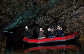 From Hamilton: Waitomo Glowworm & Cave Explorer Small Group Tour