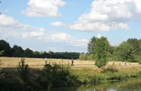 Mannheim Segway tour along the Rhine river
