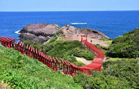 Yamaguchi Highlights and Scenic Wonders Tour from Shimonoseki