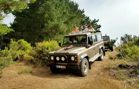Full-day eastern Madeira 4x4 tour with lunch