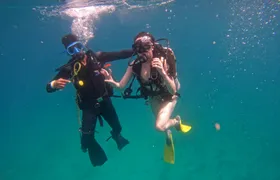 Fujairah scuba diving and snorkelling experience with Dubai transfer