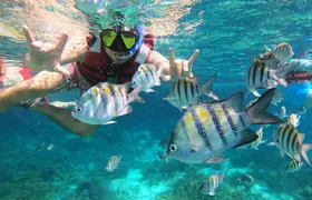 3 Hours VIP Semiprivate Tour Isla Mujeres Full Snorkeling Experience 