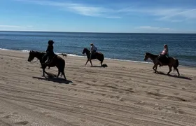 Horseback riding & Temazcal combo with lunch and mezcal tour