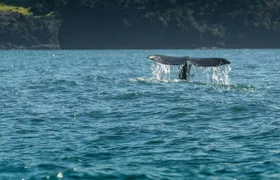 Self-Guided Driving Tour to Explore the Oregon Coast