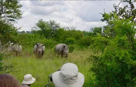 10 Day Zimbabwe and Chobe NP Tour