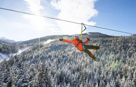 Zipline Adventure in Whistler