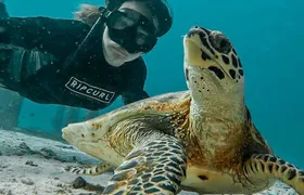 Similan Islands Private Tour