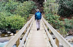 Thundering Streams and Falls of the Smokies Guided Hiking Tour