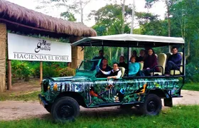 Private Tour - Coffee Tour (Cultivations) 
