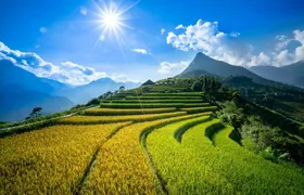 Sapa and Fansipan private 3-day experience with homestay