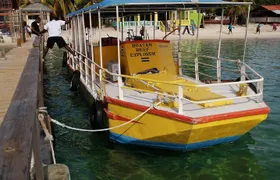 All inclusive Glass Bottom boat Wild life encounter and Beach
