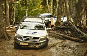 Lakes District 4x4 Full-Day Tour with Lunch from Ushuaia