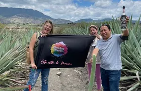 Oaxaca Mezcal Route Adventure: Artisan Palenques and Agave Fields