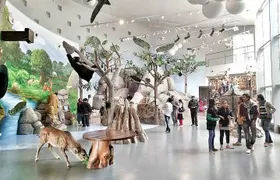 Patna Essentials Tour