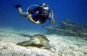 Private Discovery Dive + Photos & Videos