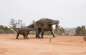 Winton Discovery Day Tour
