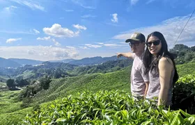Cameron Highland Best Day Tour from Ipoh with Lunch ( Day Trip)