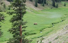Private and Personalized Three Hour Morning Tour of Rocky Mountain National Park