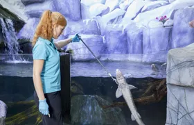 SEA LIFE Oberhausen tickets with behind-the-scenes tour