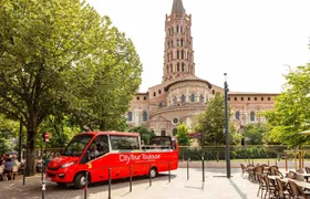 Citytour of Toulouse in panoramic minibus