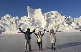 Harbin City Private Day Tour in Your Way in Winter Season