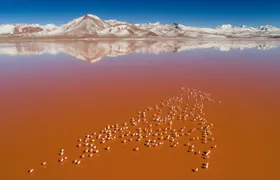 3-Days Tour to the Uyuni Salt Flat and Colored Lagoons +Sunset+Mirror Effect