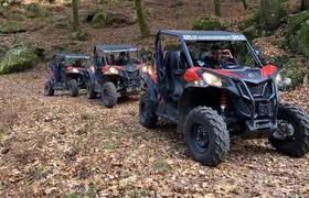 Ponte de Lima Guided Buggy Tour