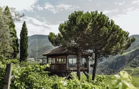 Guided winery tour with tasting in Bolzano at the SKYWINE PAVILLON