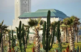 Casablanca Full-Day Trip from Marrakech