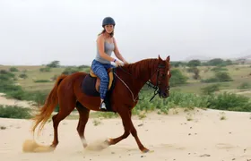 Boa Vista horse riding experience