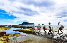 Jeju Island East UNESCO Day Tour