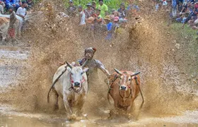 Explore West Sumatra with Private Transportation