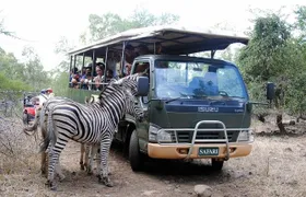 SOUTH TOUR INCLUDING CASELA SAFARI