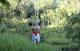 Best of Bali 3 days package tour