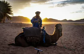 Zagora Desert: 2-Day Trip from Marrakesh