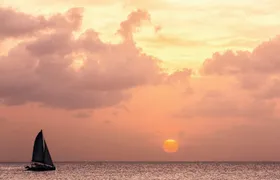 Barbados Catamaran Sunset Cruise