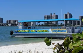 Clearwater Encounters with Dolphins Tour