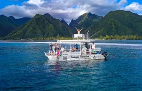 Tahitian peninsula sightseeing tour