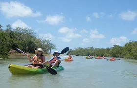 Guided Kayak Eco Tour - Bunche Beach