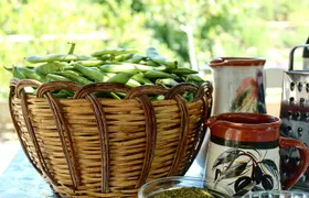 Naxos:Half-day cooking class at Basiliko